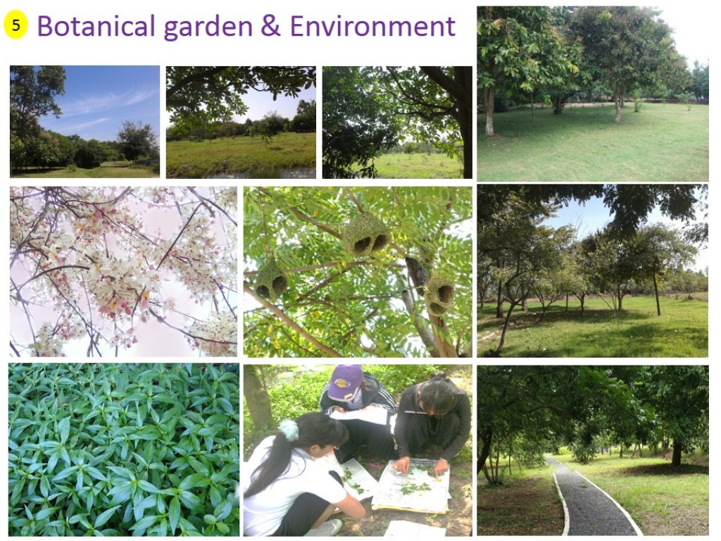 Botanical garden & Environment