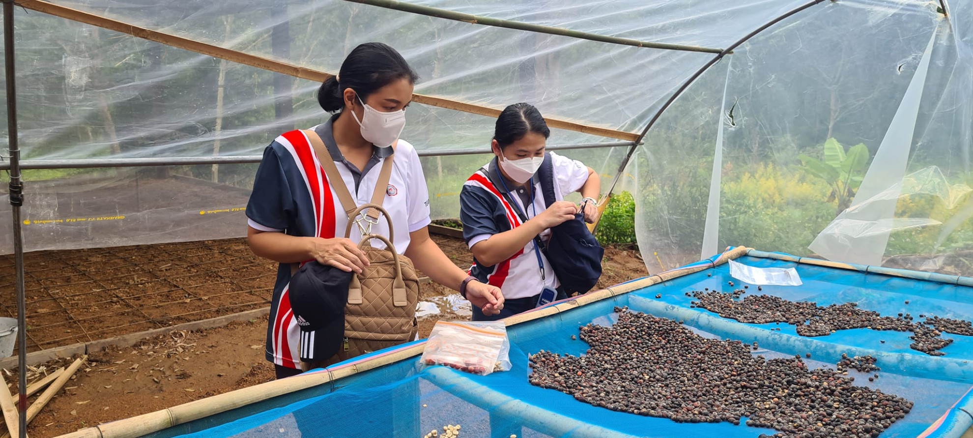 We suggested and researched new methods to improve arabica coffee quality in Loei Province, Thailand.